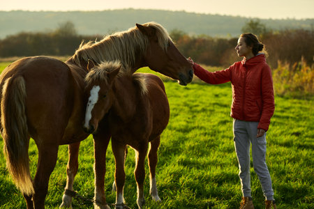 Young happy woman stroking a horse foal in green field at sunset. peopel and pets conceptの写真素材