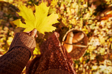 Faceless woman holding yellow leaf standing by straw basket filled with pumpkins. The ground is covered of golden yellow leavesの写真素材