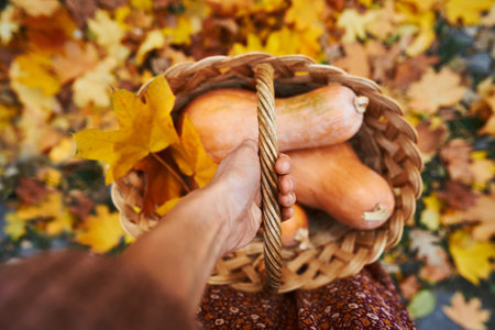 Top view of hand holding a wicker basket filled with freshly harvested ripe pumpkins. Perfect for seasonal designs and fall-themed projectsの写真素材