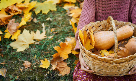 Close up faceless woman holding a wicker basket filled with freshly ripe pumpkins. Perfect for seasonal designs and fall-themed projectsの写真素材