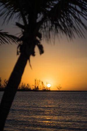 sun rise
