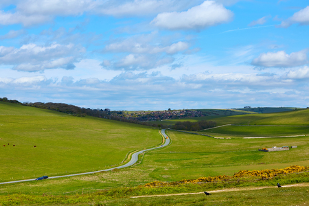 Green hils with cows, Road in the Beachy Head and Eastbourne town on backgroun, UKの写真素材