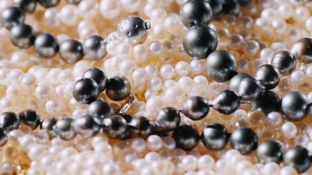 White and black natural pearlsの写真素材