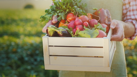 The farmer is holding a wooden box with fresh vegetables. Organic agriculture conceptの写真素材