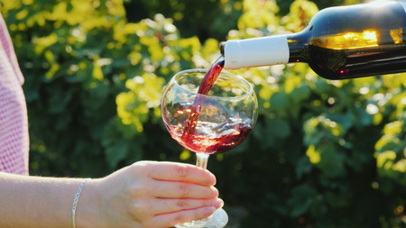Pouring red wine in an elegant glass on the background of the vineyard. Wine tourの写真素材