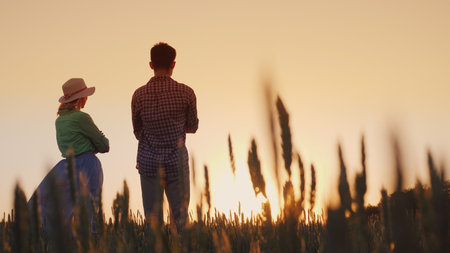 Two farmers man and woman standing in a wheat field watching the sunset. Lower view angle