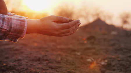 A farmer looks at the soil in his hands at sunset.の写真素材
