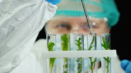 Scientist conducts research with plants in lab.の写真素材