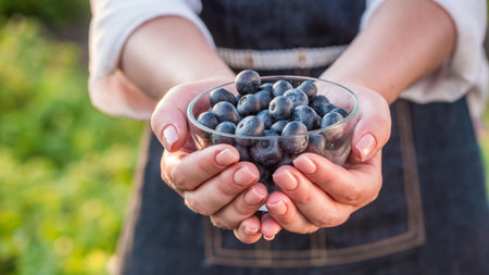 Farmer holds a bowl of blueberriesの写真素材