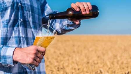 A man pours beer from a bottle into a glass. Against the background of wheat ears on the fieldの写真素材