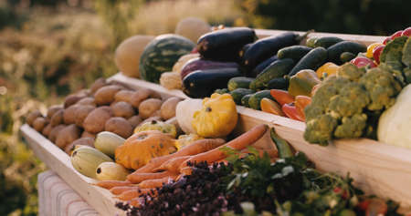 Vegetable counter at farmers market. Slider shot with lens flare fron sunの写真素材
