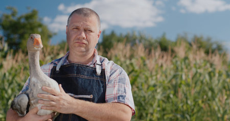 A farmer holds a large goose. Poultry and food from local farmers