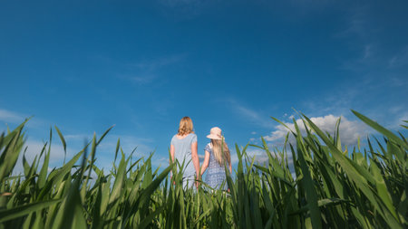 A woman and a child stand on a beautiful meadow with high grass, holding handsの写真素材