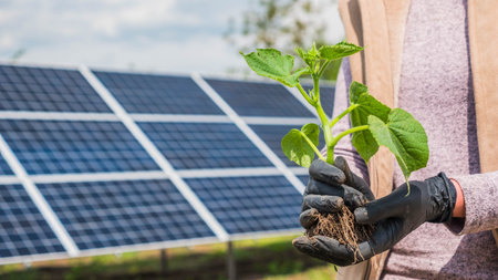 Farmer holds seedling in his hands, in the background solar panels