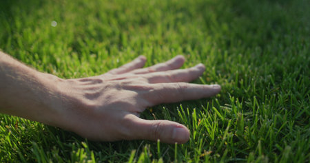 Hand strokes evenly cut grass on the lawnの写真素材
