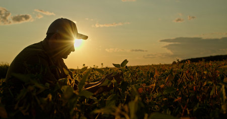 A farmer examines crops in a field during sunset, with the warm sunlight casting a serene glow.