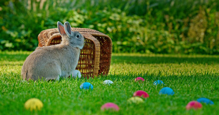 A gray rabbit sits near a wicker basket surrounded by colorful Easter eggs on a green meadow,...