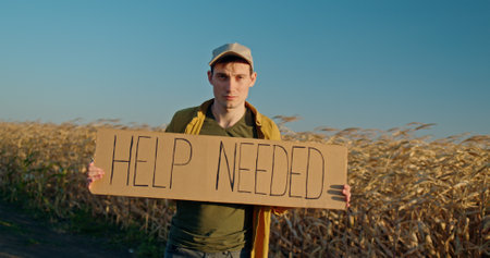 A man farmer standing in a field holding a cardboard sign that reads HELP NEEDED.の写真素材