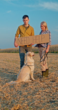 A male and female farmer stand in a field holding a sign that reads Need Help, with their dog beside themの写真素材
