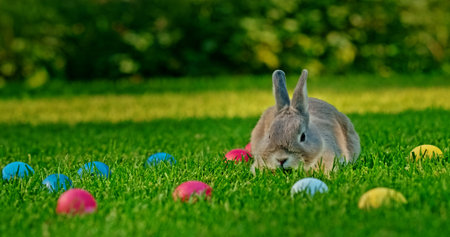 Adorable rabbit sitting on green grass surrounded by colorful Easter eggs, symbolizing Easter and...