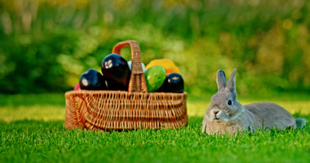 Relaxed rabbit lying on green grass beside a wicker basket filled with fresh vegetables, including...