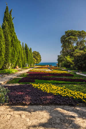 Flowerbeds with bright yellow and purple blossoms in the Balchik botanical garden, framed by cypress trees and overlooking the Black Sea on a sunny day.の写真素材