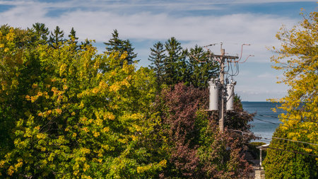 Electric utility pole with multiple transformers surrounded by colorful autumn trees and overlooking the coast in the United States, symbolizing modern electrification and energy distribution.の写真素材