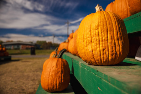 Close-up of bright orange pumpkins arranged on a green wooden stand at a local farm market on a...