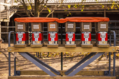 Row of red coin-operated animal feed dispensers on a wooden stand at a petting zoo or farm, used for feeding animals, with sunlight illuminating the outdoor setting.の写真素材