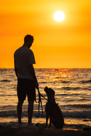 Man with a German Boxer dog sitting on the beach near the sea, watching the sunset together, enjoying a calm evening by the water.の写真素材