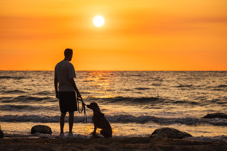 Man standing on the beach holding a leash while his German Boxer dog sits near the shoreline during a stunning sunset over the ocean.の写真素材