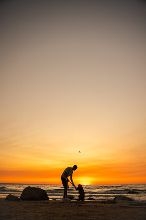 Man playing with his German Boxer dog on the beach at sunset, holding the dogs paw while standing by the ocean waves, silhouette against the colorful sky.の写真素材