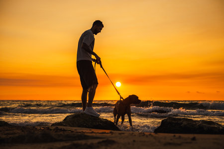 Man holding the leash of a German Boxer dog standing on rocks by the sea during a vivid orange sunset, waves splashing around them.の写真素材
