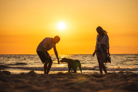 Man and woman spending time with their German Boxer dog on the beach during sunset, enjoying the evening together by the sea.の写真素材