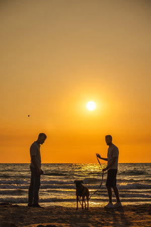 Two men with a dog on the beach at sunset, enjoying a peaceful walk by the sea shoreの写真素材