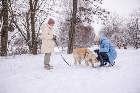 Elderly woman and her adult daughter spending time outdoors with their Golden Retriever on a snowy winter day. The daughter crouches to interact with the dog while the mother holds the leash, surrounded by snow-covered trees.の写真素材