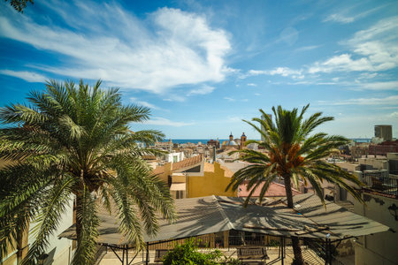 Scenic view of Alicante city with palm trees, old rooftops, and the Mediterranean Sea under a bright blue sky with light clouds.の写真素材