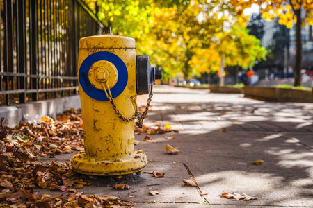 Toronto, Canada: Yellow fire hydrant on a city sidewalk surrounded by fallen autumn leaves with soft sunlight filtering through the treesの写真素材