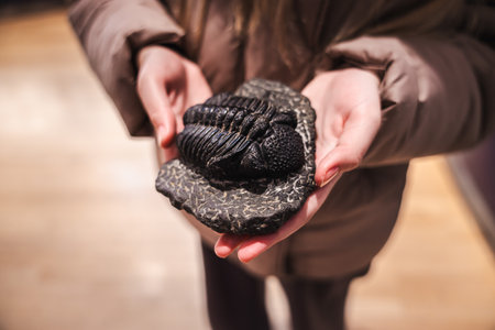 Hands holding a well-preserved trilobite fossil on a textured stone slabの写真素材