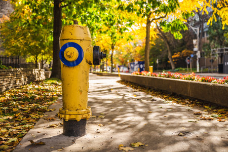 Yellow fire hydrant on a sunlit sidewalk with autumn foliage in Toronto, Canada