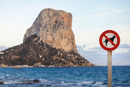 No dogs allowed sign by the seaside in Calpe, Spain, with the Penon de Ifach rock visible in the backgroundの写真素材