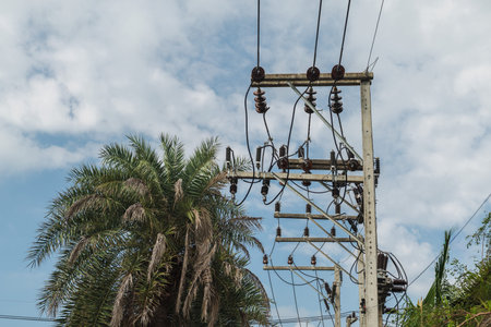 High voltage power lines and concrete utility pole beside palm trees under tropical sky on Koh Samui...