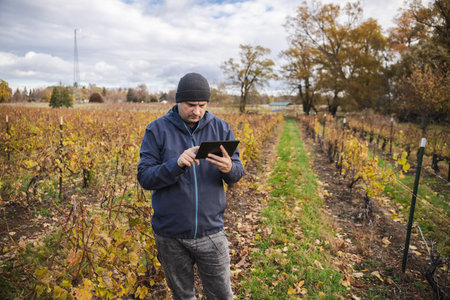 Farmer using tablet while walking through vineyard rows in autumn countryside