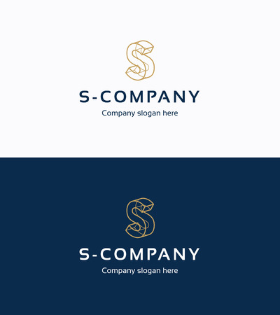 Frame 3D logo template with letter S Frame 3D logo template with letter S