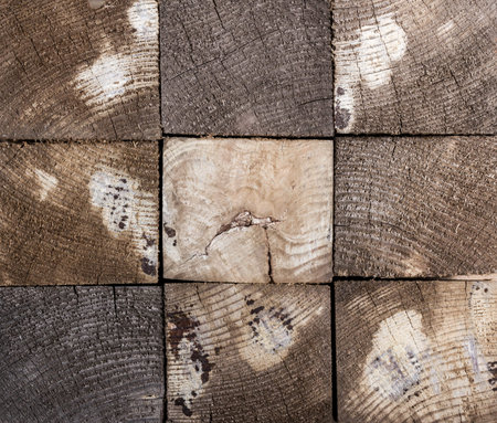 Photo of Old wood background. Wooden blocks. Cross section of the tree