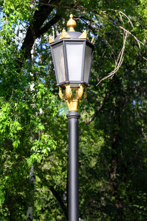 Street lamp on the background of trees in the rays of the Sunの写真素材
