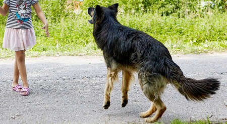 Little girl is scared by a dog.の写真素材