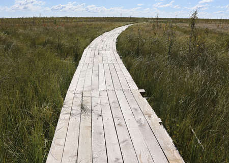 Wooden flooring of a swamp eco-trail without people, passing directly above the swamp. On a warm sunny autumn day against a blue sky with clouds.の写真素材