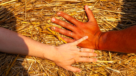 Light-skinned and dark-skinned hands peacefully rest on a hay bed, symbolizing unity in diversity and collaboration. This image embodies strength in coming together despite differences.の写真素材