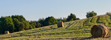 Round bales of hay sit on a lush, green hillside, surrounded by trees under a clear blue sky. The...